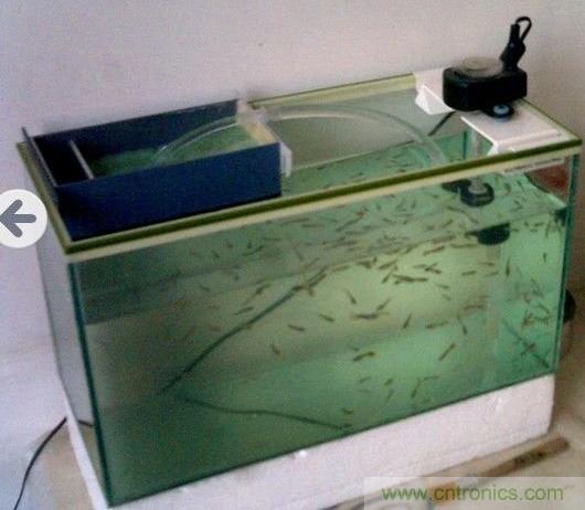 DIY初學(xué)者福音:魚缸無刷水泵DIY(高清)