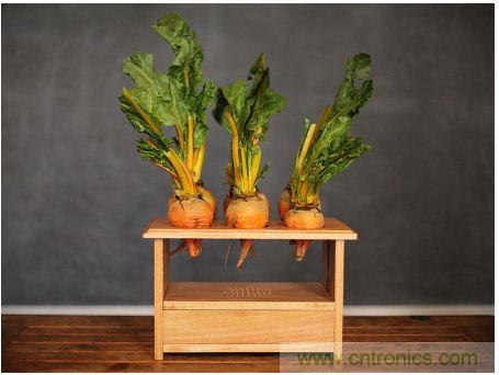 害怕圣誕節(jié)沒創(chuàng)意？看看發(fā)燒友們怎么過圣誕