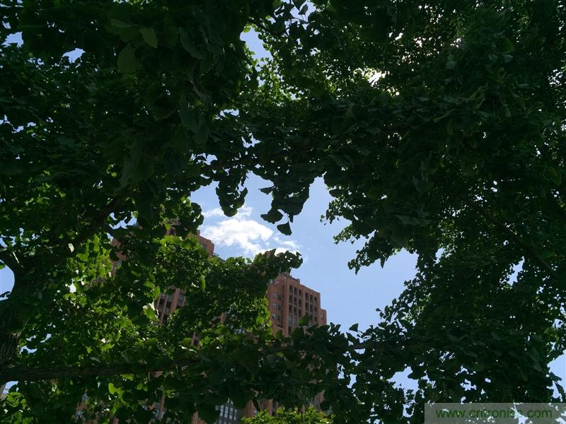 無邊框的 nubia Z9 ，一款既有驚喜，又有驚艷的智能手機