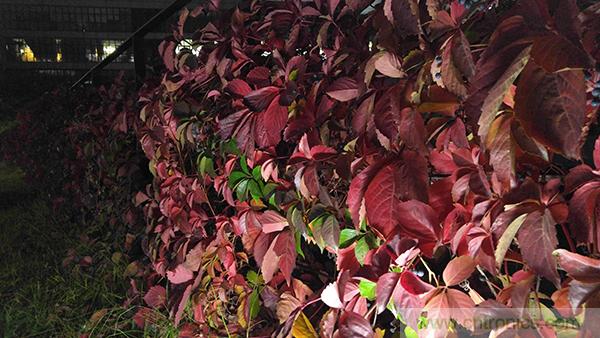 業(yè)界良心 LG V10 評(píng)測(cè):剛毅、冷峻，不失人性化