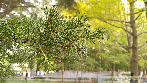 業(yè)界良心 LG V10 評(píng)測(cè):剛毅、冷峻，不失人性化