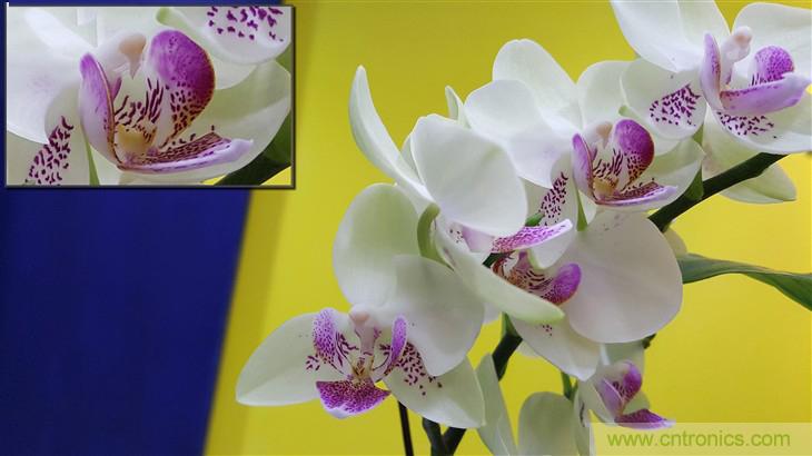 三星S6 edge+評測：擊退note 5，帶著雙曲屏卷土重來