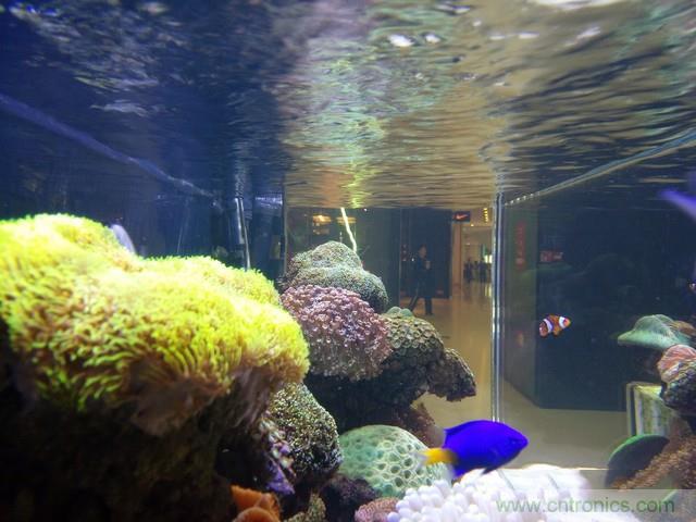 Hi-Fi革命！vivo X6 Plus深度評(píng)測(cè)：夠快才暢快