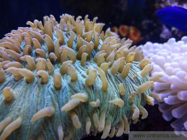 Hi-Fi革命！vivo X6 Plus深度評(píng)測(cè)：夠快才暢快