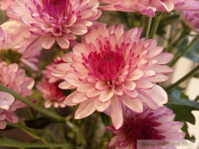 Hi-Fi革命！vivo X6 Plus深度評(píng)測(cè)：夠快才暢快