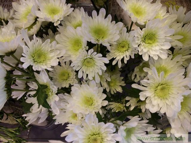 Hi-Fi革命！vivo X6 Plus深度評(píng)測(cè)：夠快才暢快