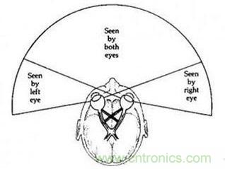 雙目重疊技術(shù)在VR中有什么作用？