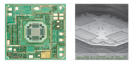  ADXL202 &plusmn;2 g加速度計。