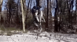 走直線很難嗎？陀螺儀表示，少了它機器人連直線都走不了