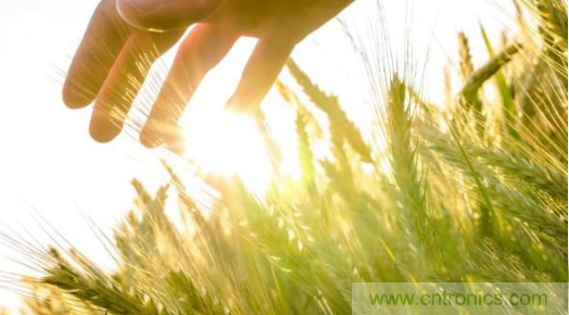 超聲波風速傳感器在生活環(huán)境中的各種應用 超聲波風速傳感器在生活環(huán)境中的各種應用