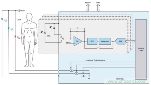 監(jiān)控你的生命體征？還是讓專業(yè)的來吧~