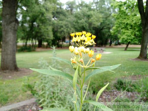 無數(shù)的拍攝，只為成就一個(gè)完美回憶