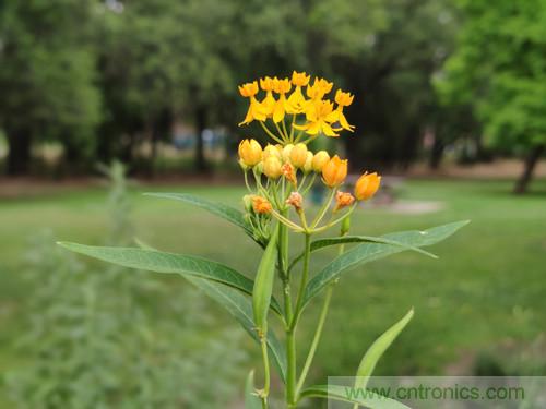 無數(shù)的拍攝，只為成就一個(gè)完美回憶