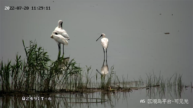 ?？低暟l(fā)布2022年ESG報告：科技為善，助力可持續(xù)的美好未來