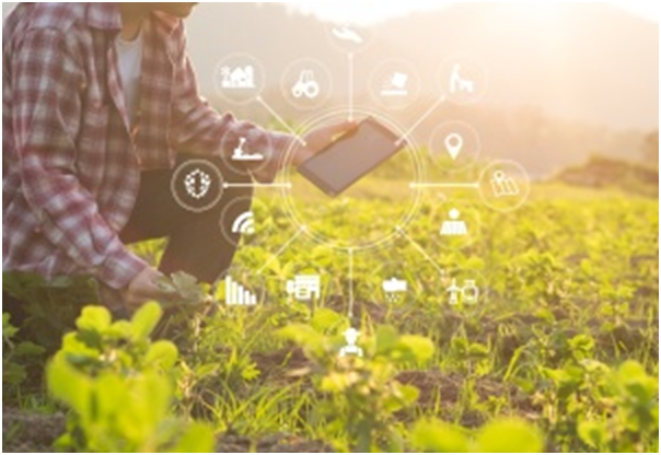 如何利用8位MCU實現(xiàn)智能農場技術