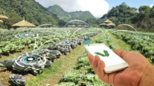 如何利用8位MCU實現(xiàn)智能農場技術