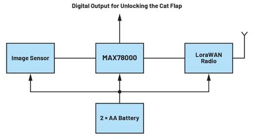 卷積神經(jīng)網(wǎng)絡的硬件轉(zhuǎn)換：什么是機器學習？——第三部分