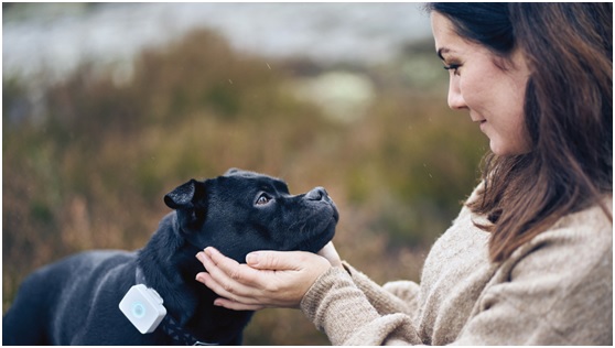 低功耗藍(lán)牙和蜂窩物聯(lián)網(wǎng)可穿戴設(shè)備幫助照看寵物 低功耗藍(lán)牙和蜂窩物聯(lián)網(wǎng)可穿戴設(shè)備幫助照看寵物